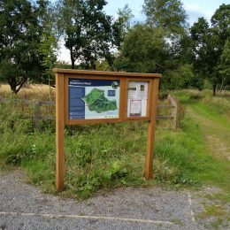 Bowman c combination map display