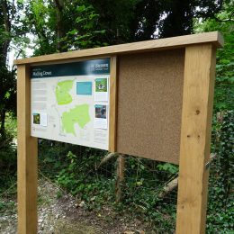 Bowman™ Option B combination display
