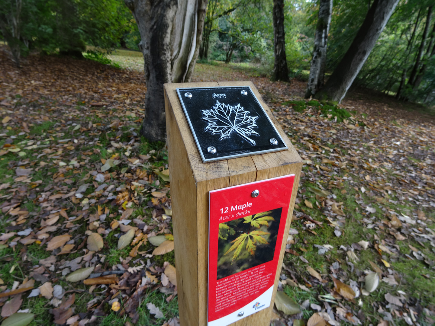 Trail wayfinding: How to signpost hiking trails with these 5 ideas
