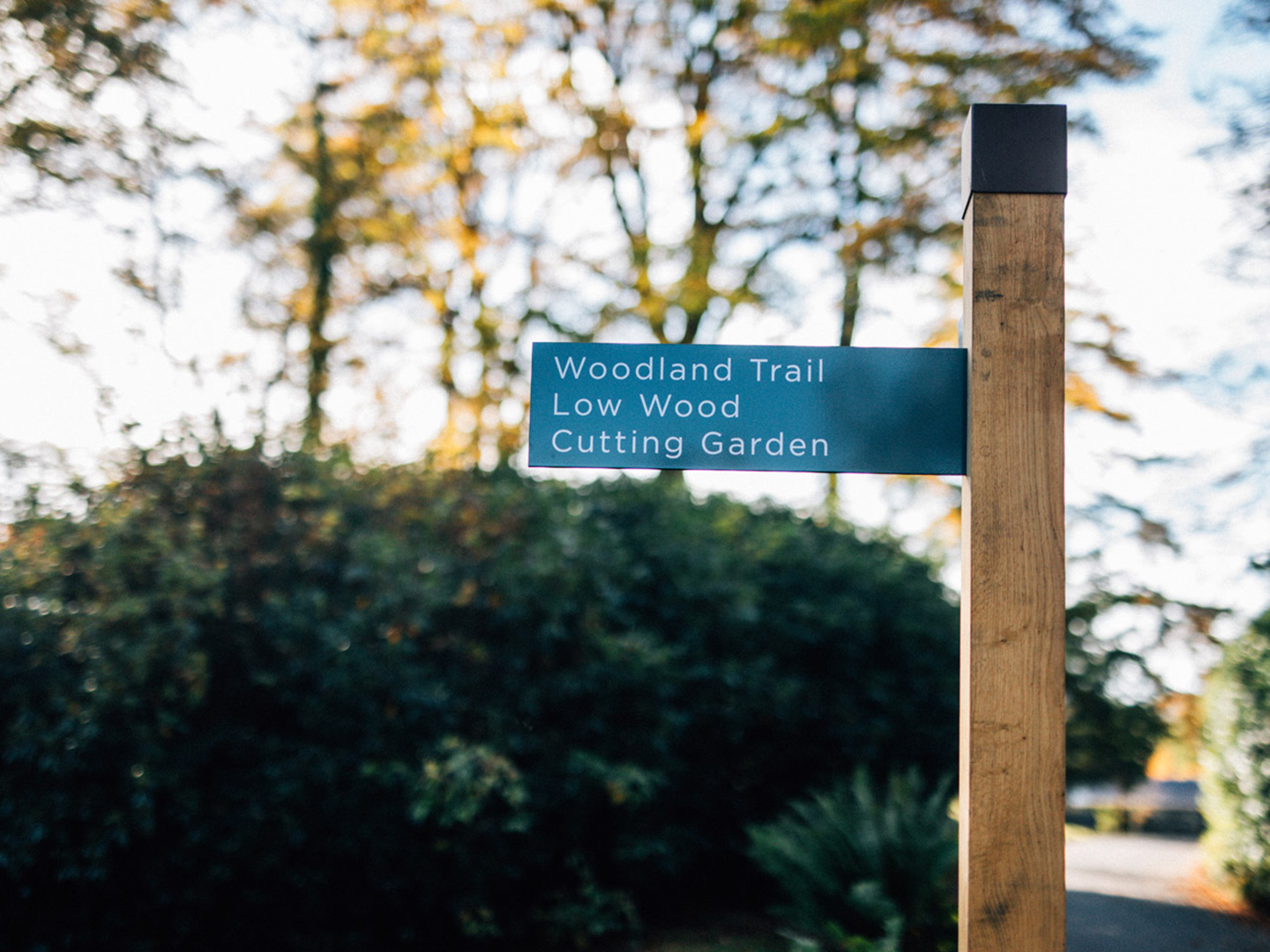 What is wayfinding signage?