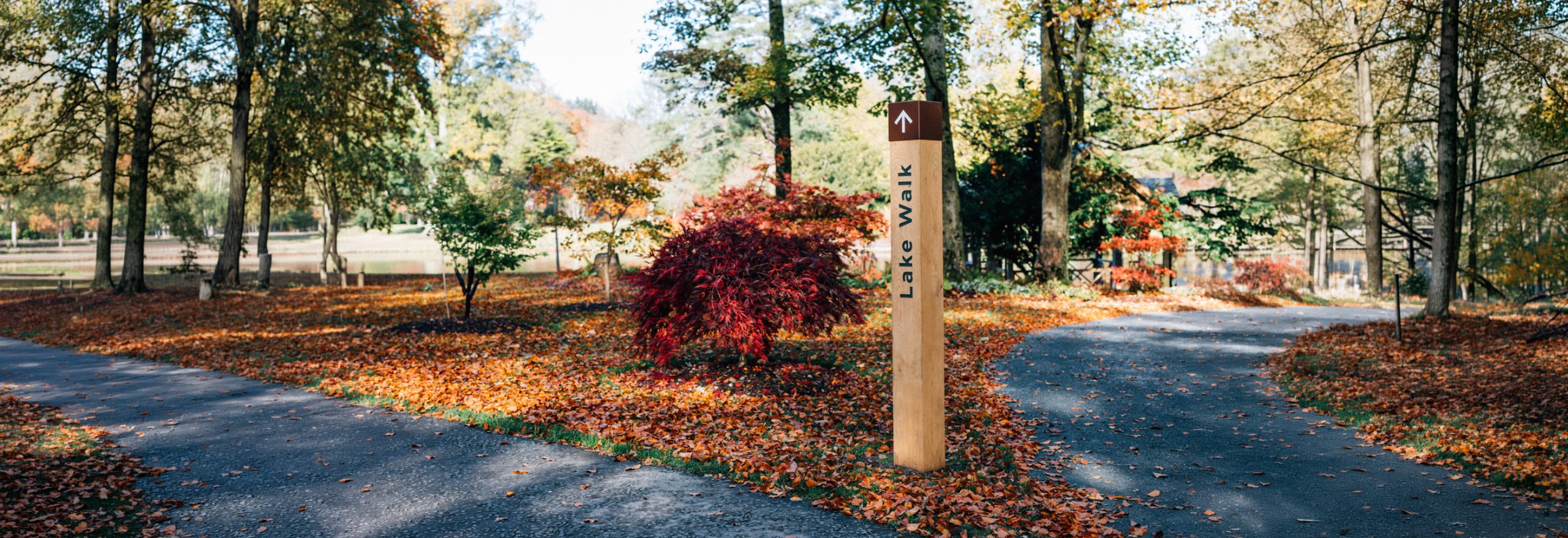 Waymarking posts
