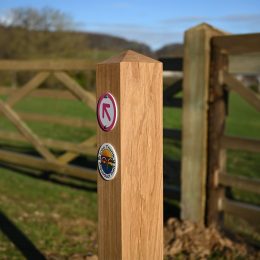 Waymarking post - oak