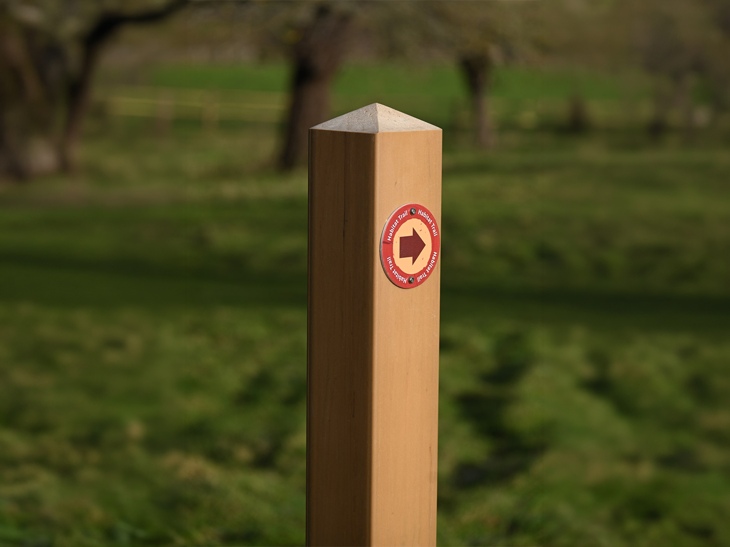 5 Types of Wayfinding signage examples: Which is right for you?